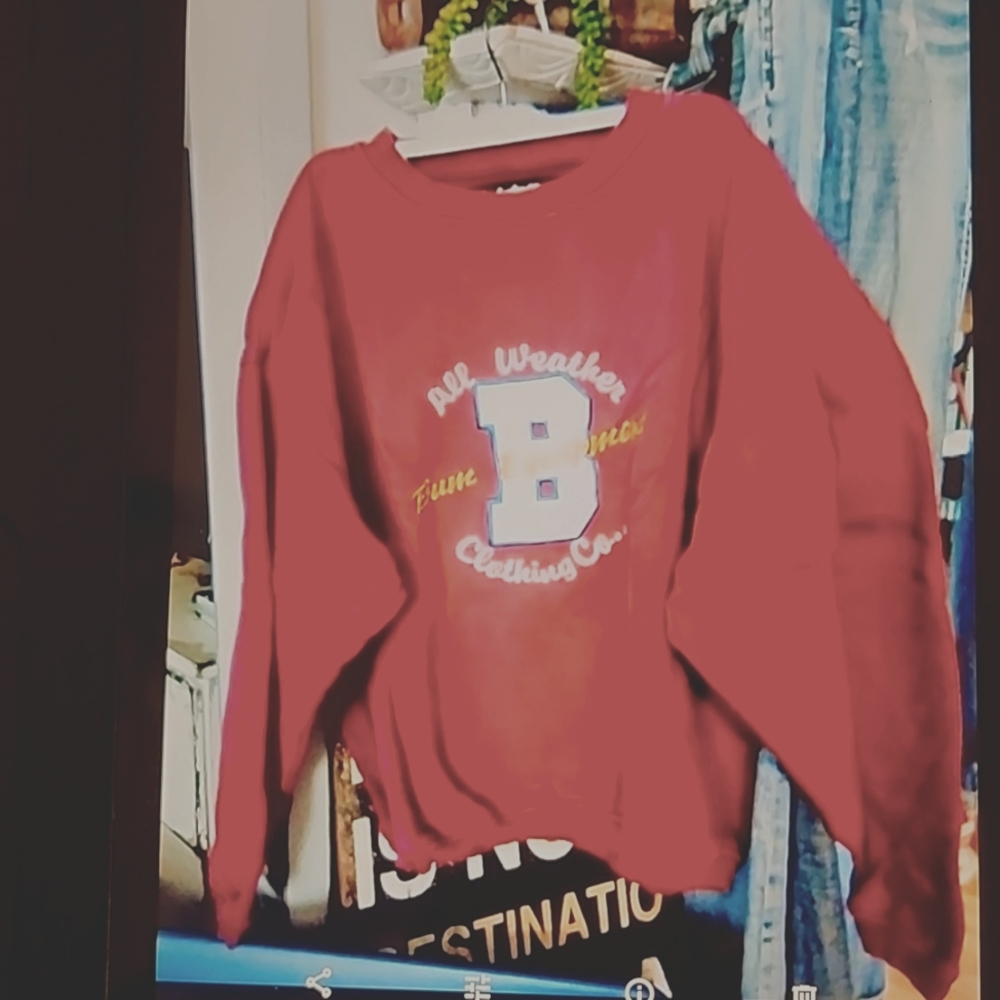 Vintage Bum Equipment Sweatshirt